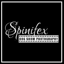 Photographer involved in the world of purebred dogs for over 50 years - a successful exhibitor, breeder & dog Judge. Photographing at Dog shows since 2012.