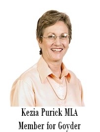 Local Independent Member for the electorate of Goyder, NT.